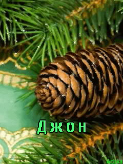 �������� � ������� ����